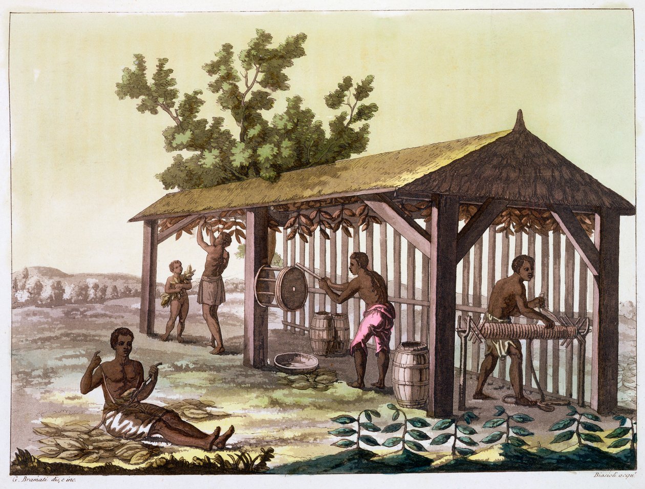 Niewolnicy przygotowujący tytoń, Wirginia, USA. c1790 c1820-1839 autorstwa Angelo Biasioli