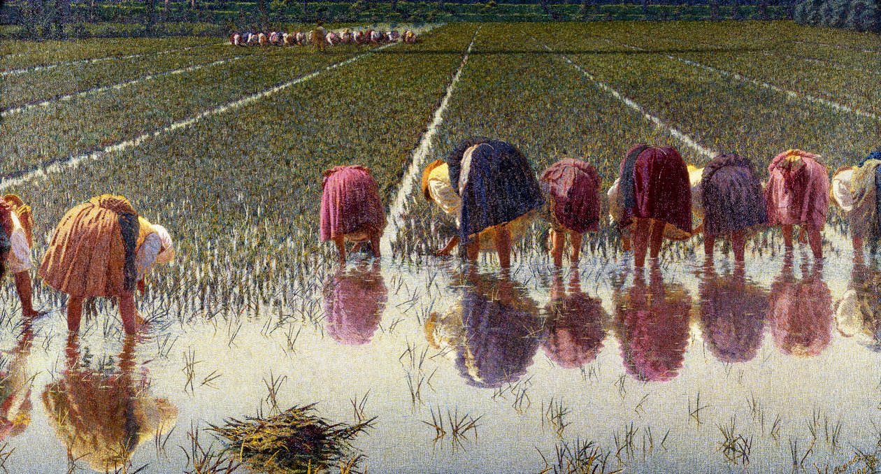 Za osiemdziesiąt groszy autorstwa Angelo Morbelli