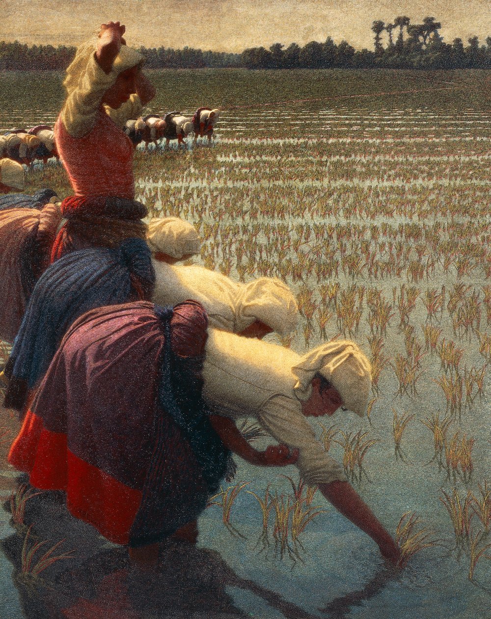 Mondine (włoskie pracownice ryżu) autorstwa Angelo Morbelli