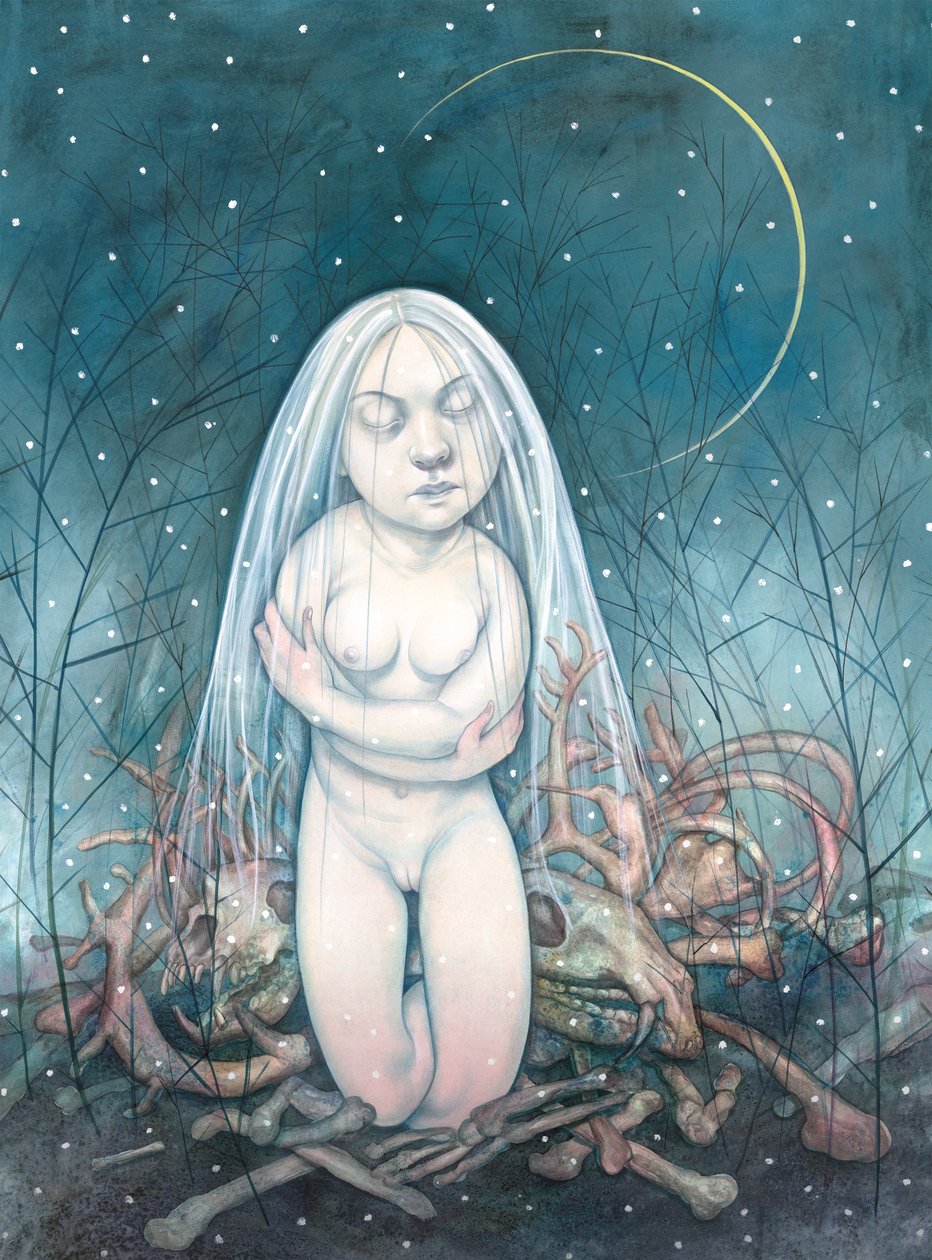 Zima, 2013 (farba akrylowa na płycie ilustracyjnej) autorstwa Anita Kunz