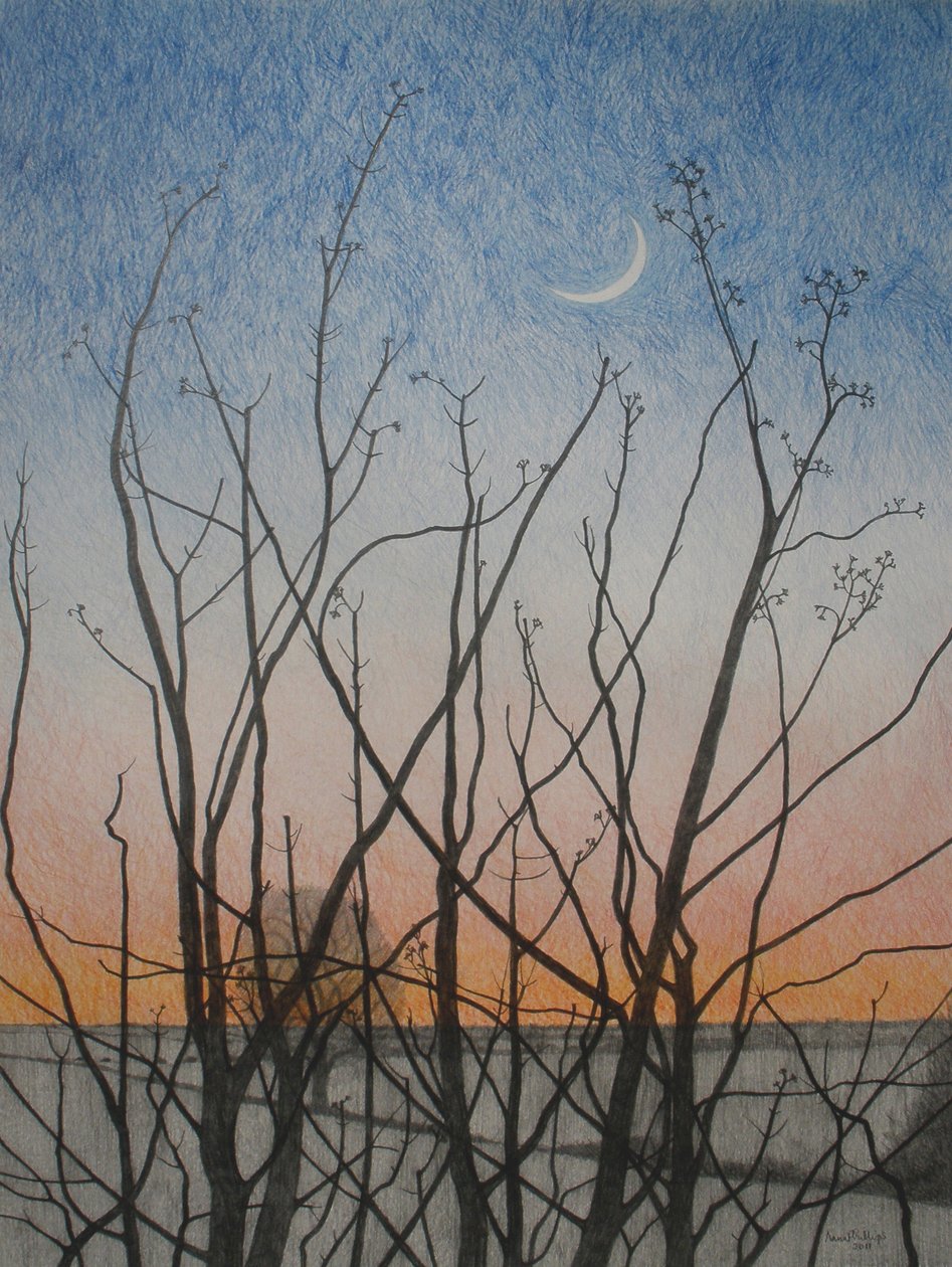 Z mojego okna, 2011 (kolorowa kredka na papierze) autorstwa Anna Phillips