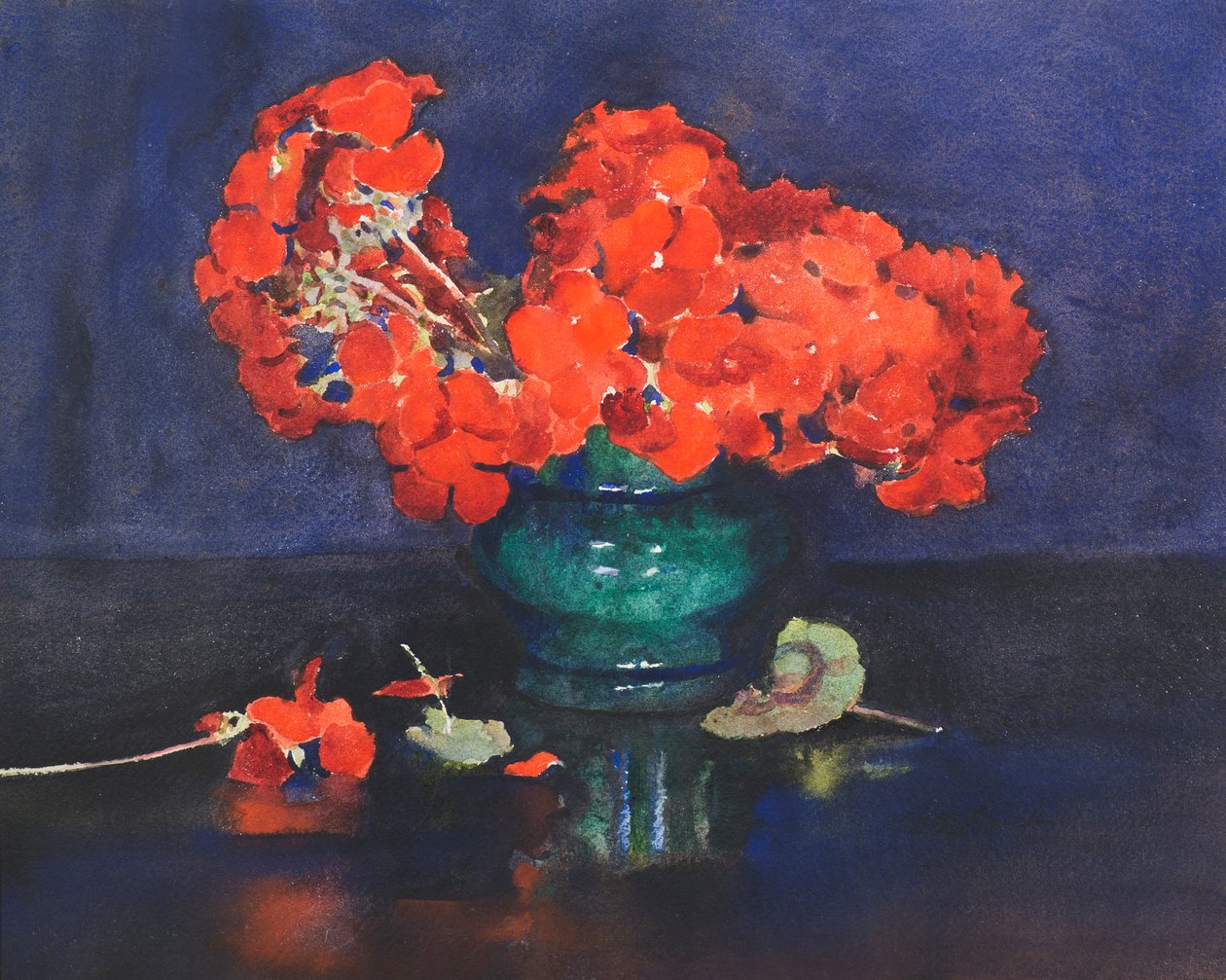 Pelargonie (akwarela) autorstwa Ann Spence Black