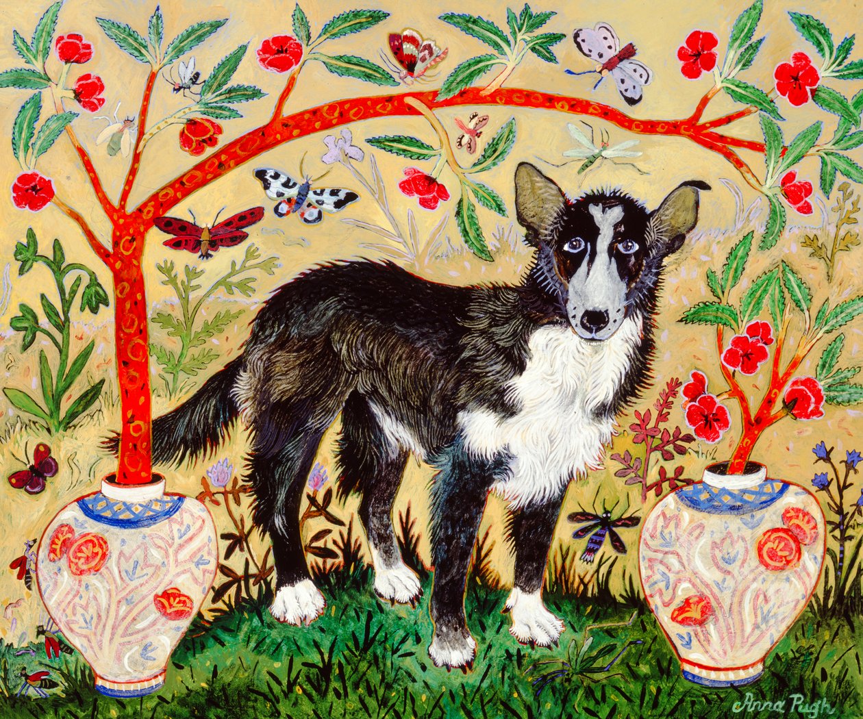 Mutt, 2009 (akryl) autorstwa Anna Pugh