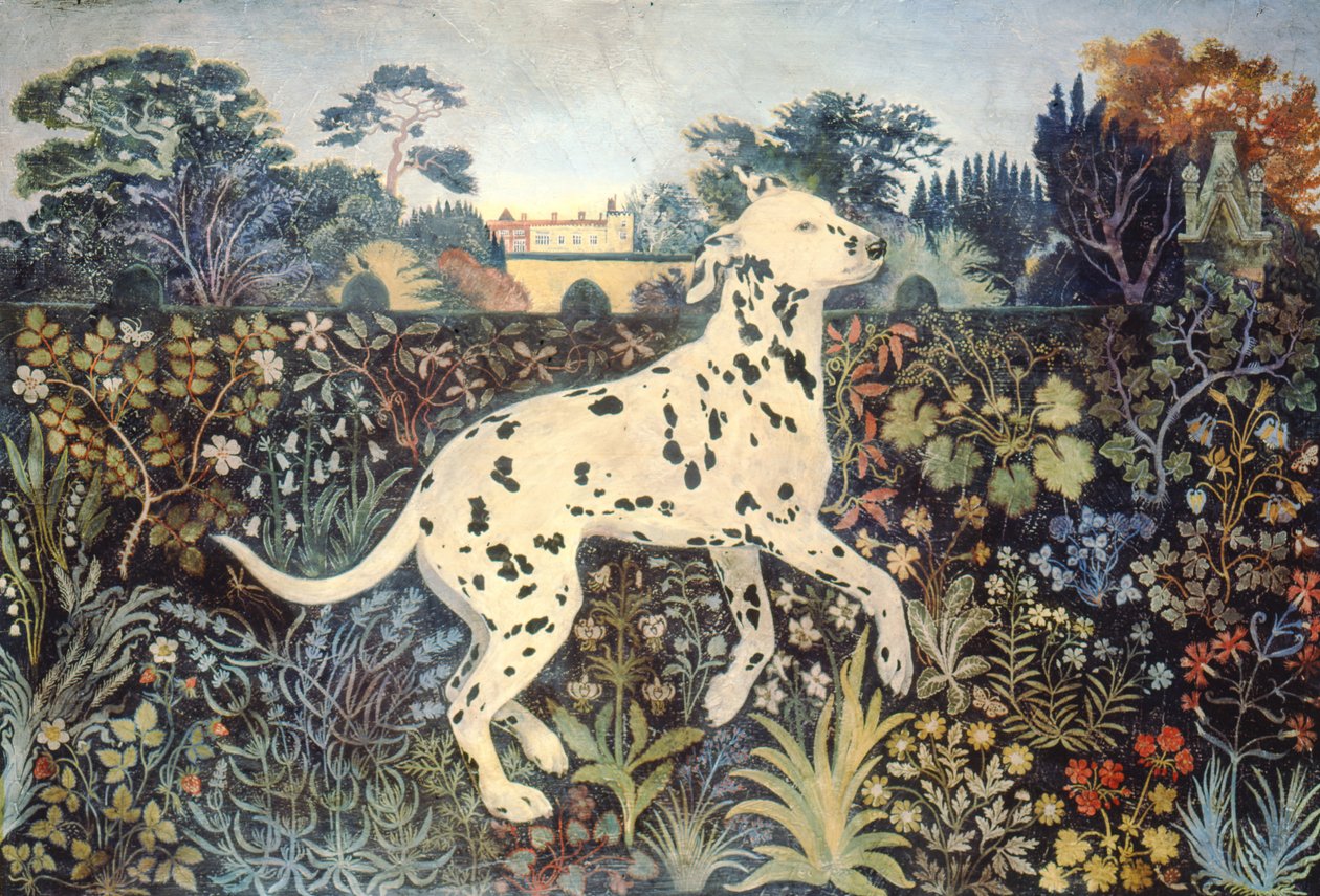 Sophie autorstwa Anna Pugh
