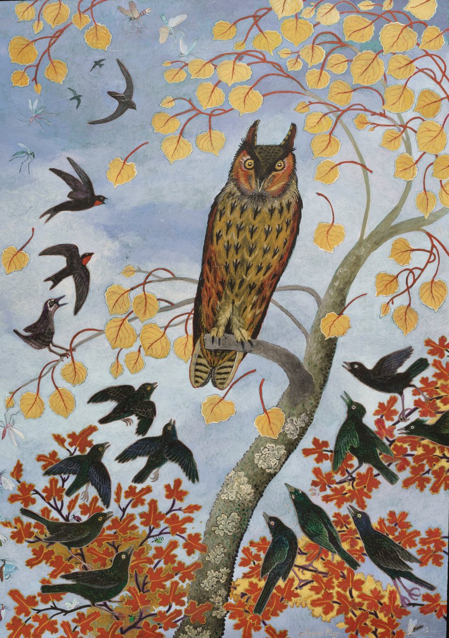  autorstwa Anna Pugh