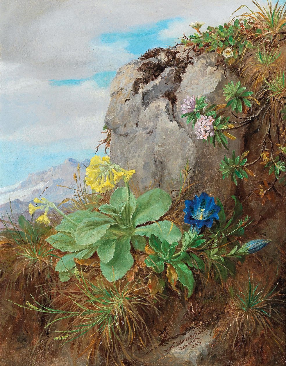Kwiaty alpejskie autorstwa Anna Stainer Knittel