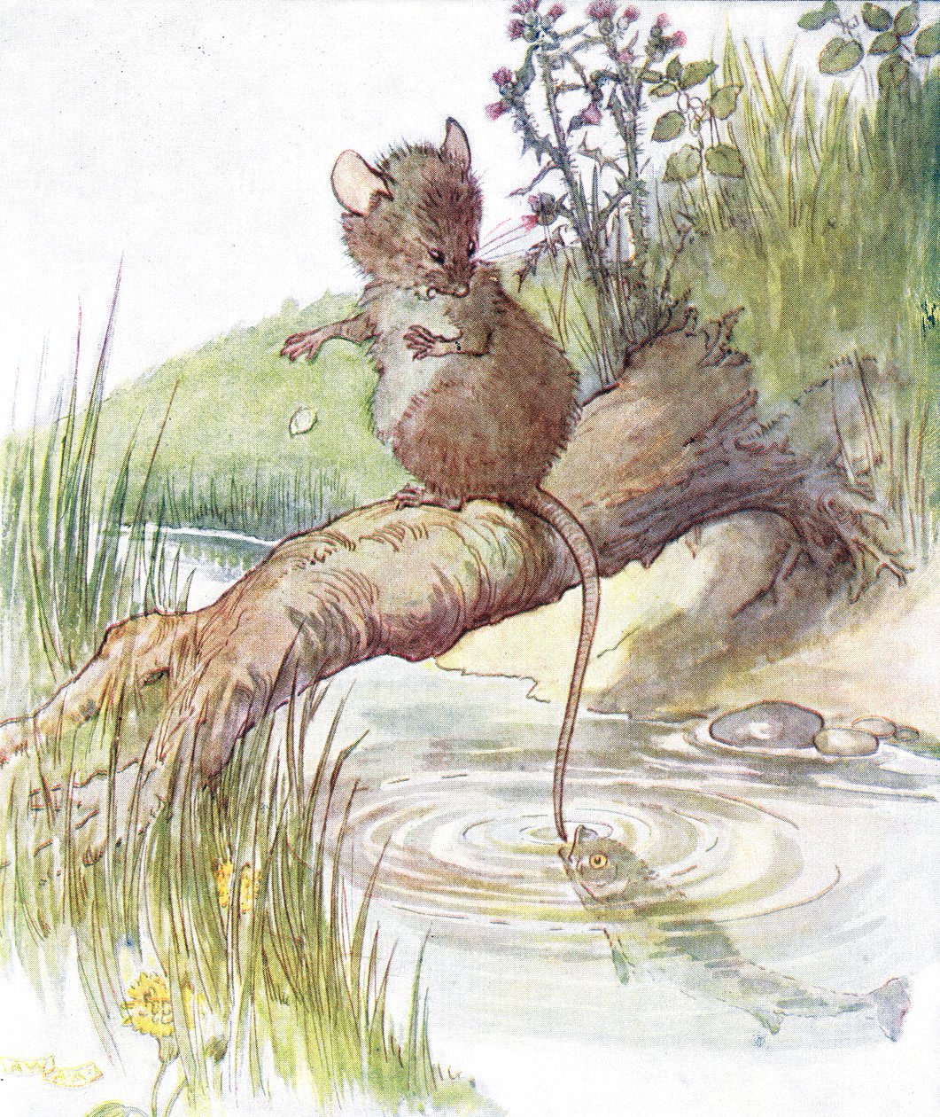 „Podeszła ryba i mocno ją ugryzła”, ilustracja z „The Mischievious Mousie Book”, wydanej przez Thomasa Nelsona und Sonsa, lata 20. autorstwa Anne Anderson
