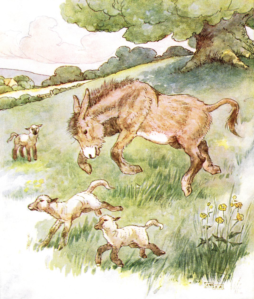„Bałem się cały dzień na słonecznej łące z głupimi małymi owieczkami”, ilustracja z „The Naughty Neddy Book”, wydanej przez Thomasa Nelsona und Sonsa, lata 20. autorstwa Anne Anderson