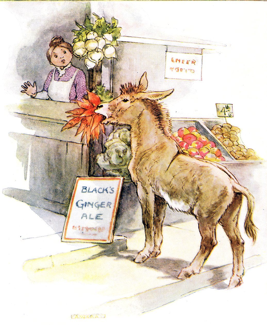 Saw a lovely bunch of carrots", ilustracja z "The Naughty Neddy Book", wydanej przez Thomas Nelson und Sons, lata 20. autorstwa Anne Anderson