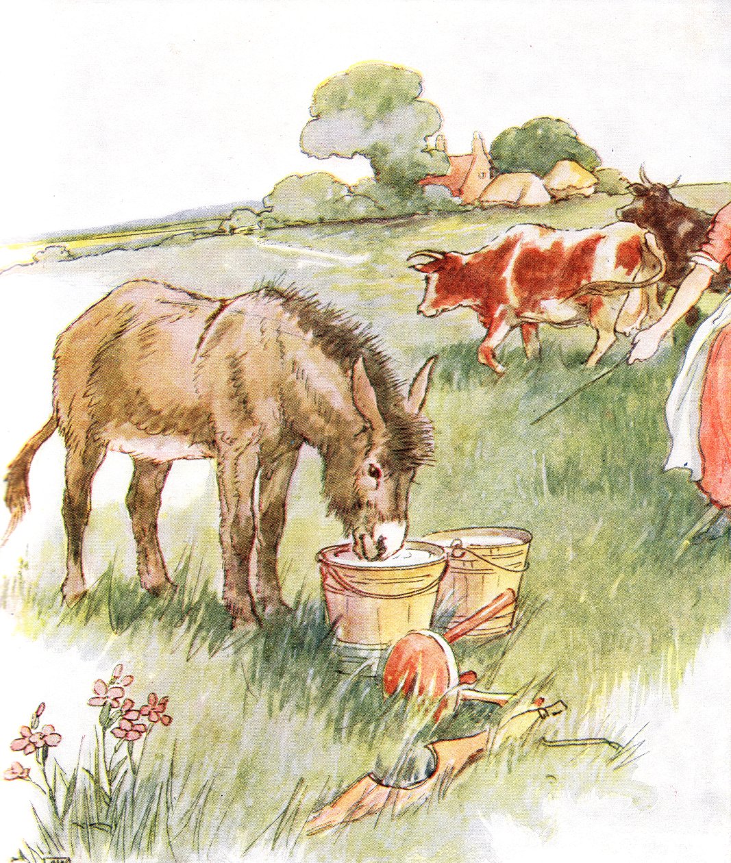 „Widziałem dwa wiadra pełne mleka i wypiłem długo, cudownego drinka”, ilustracja z „The Naughty Neddy Book”, opublikowanej przez Thomasa Nelsona und Sonsa, lata 20. autorstwa Anne Anderson