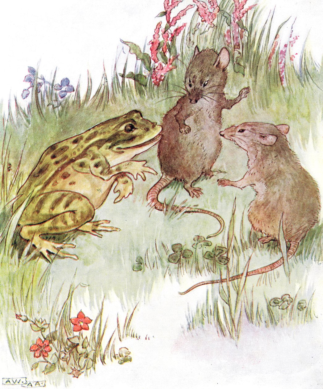 „Rozmawiał z ładną panną Mysz”, ilustracja z „Księgi psotnej myszy”, wydanej przez Thomasa Nelsona und Sonsa, lata 20. autorstwa Anne Anderson