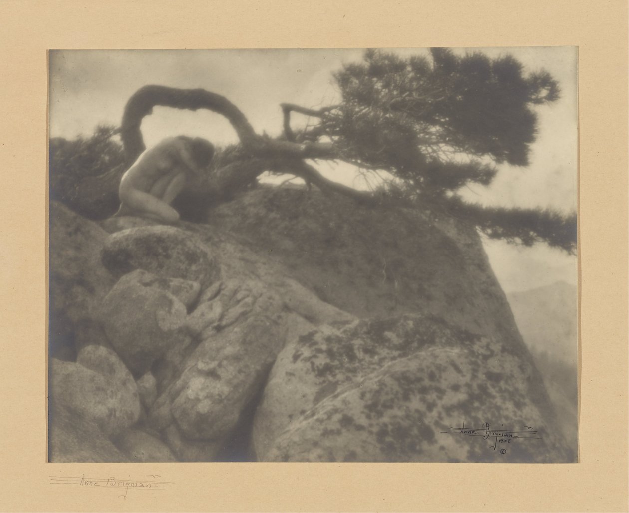 Samotna sosna autorstwa Anne W. Brigman