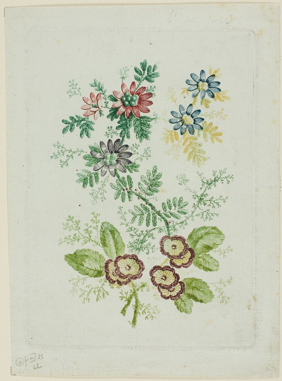 Kwiaty autorstwa Anne Allen