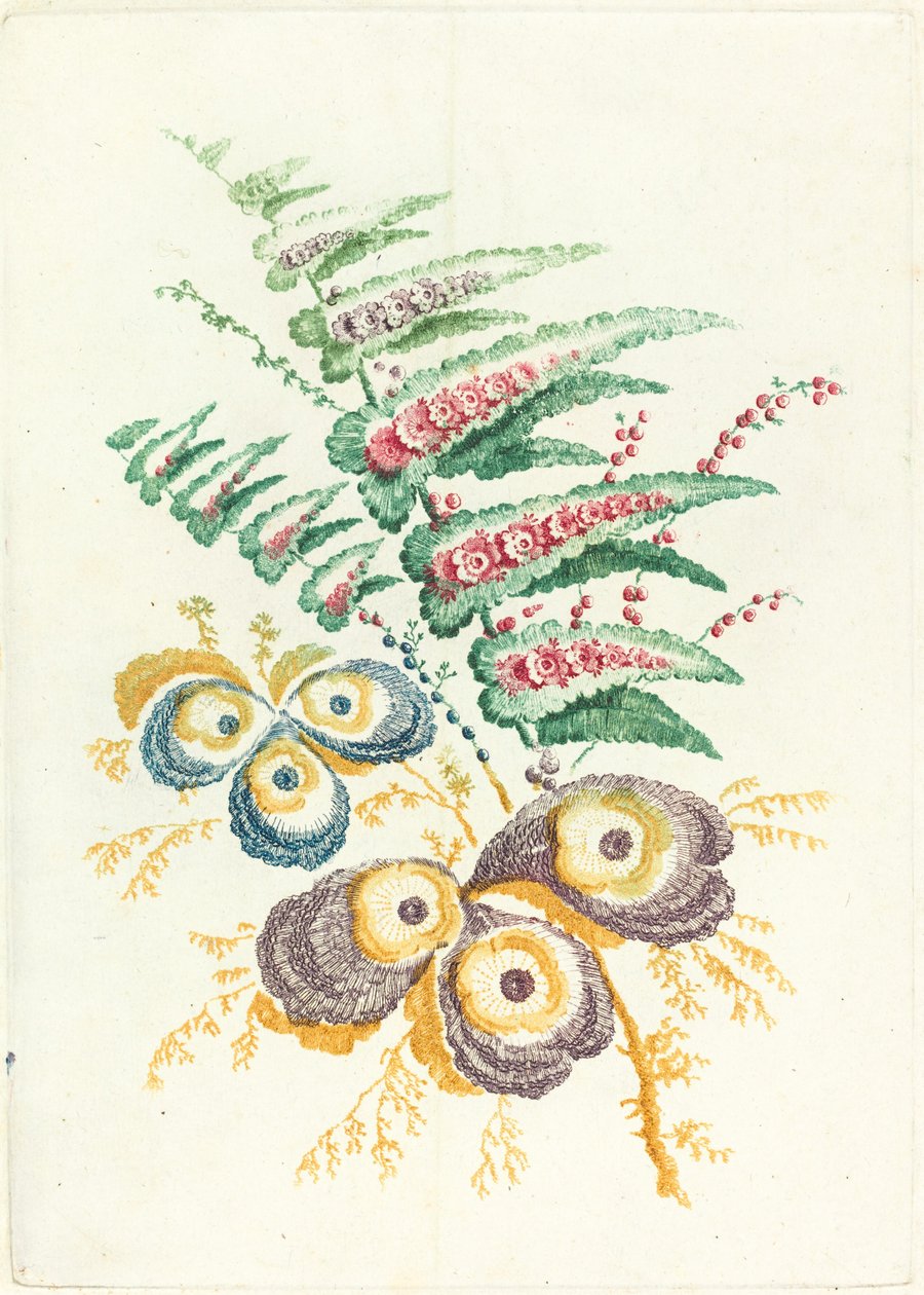 Fantastyczne kwiaty z kwiatami muszli ostryg autorstwa Anne Allen after Jean Baptiste Pillement