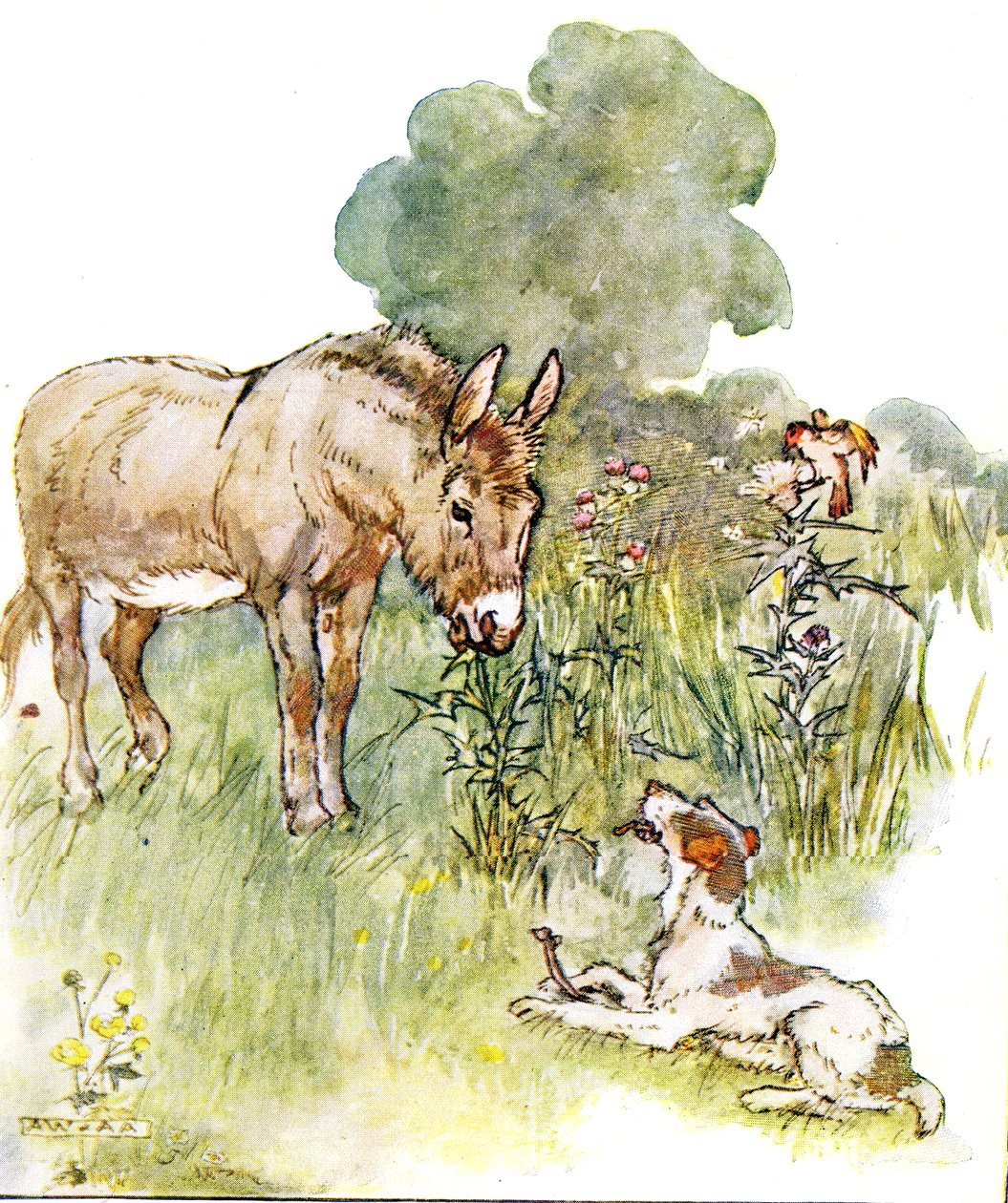 „Porozmawiałem z Ponto, który przyszedł na moje pole z kością”, ilustracja z „The Naughty Neddy Book”, wydanej przez Thomasa Nelsona und Sons, lata 20. autorstwa Anne Anderson