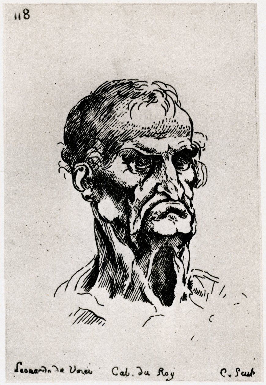 Rysunek wg Leonarda de Vinci, c1710-1765 1924 autorstwa Anne Claude Philippe de Caylus