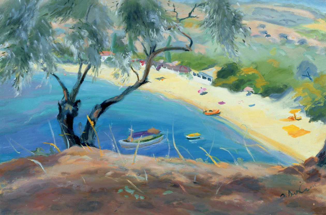 Zatoka Achladies, Skiathos, Grecja, 1985 autorstwa Anne Durham