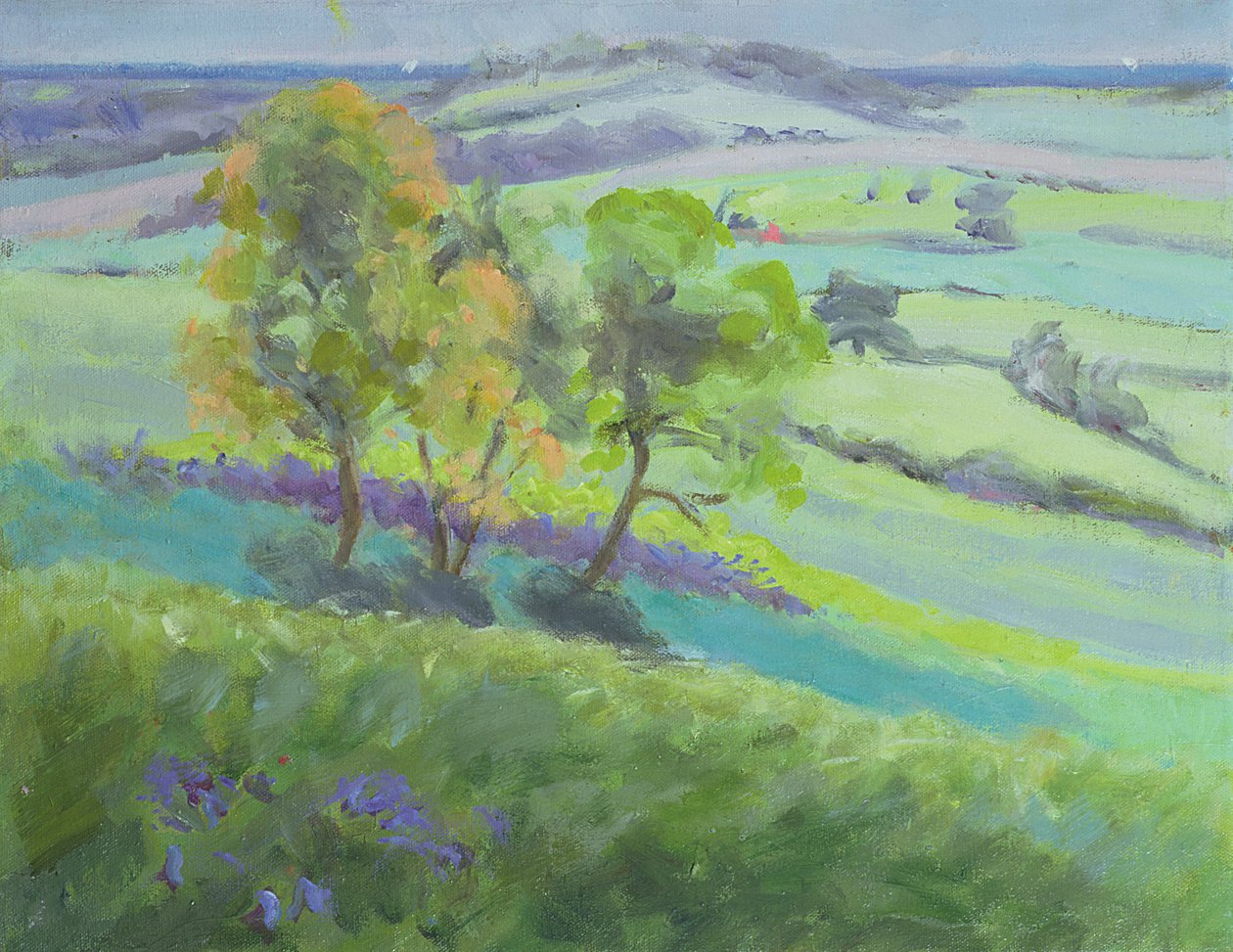 W kierunku Winchelsea w Sussex z Bluebells na wiosnę autorstwa Anne Durham