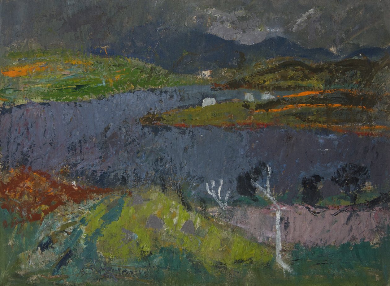 Krajobraz na Skye (olej na desce) autorstwa Anne Redpath