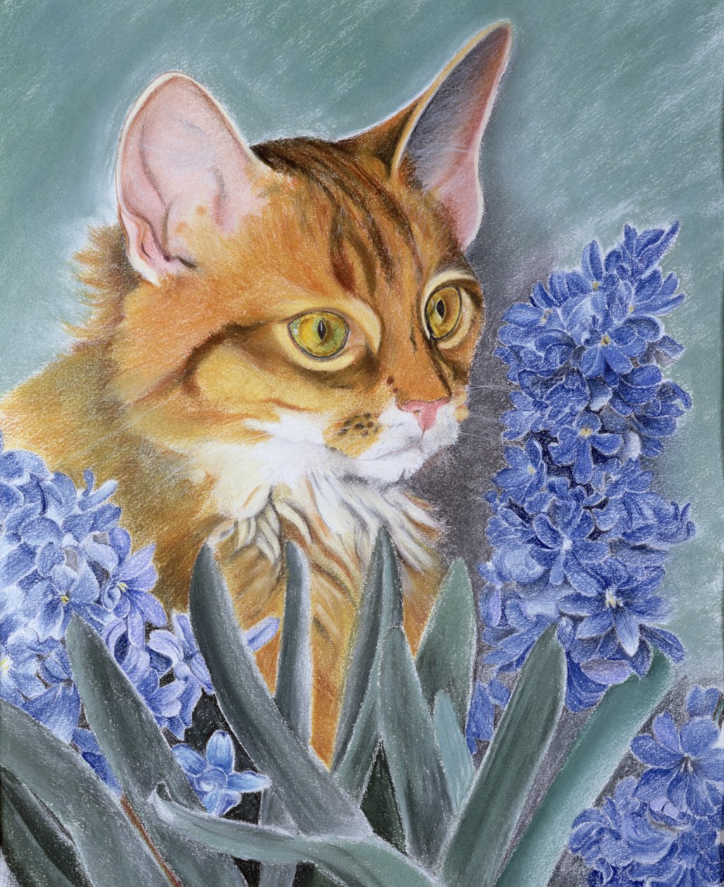 Tosca autorstwa Anne Robinson