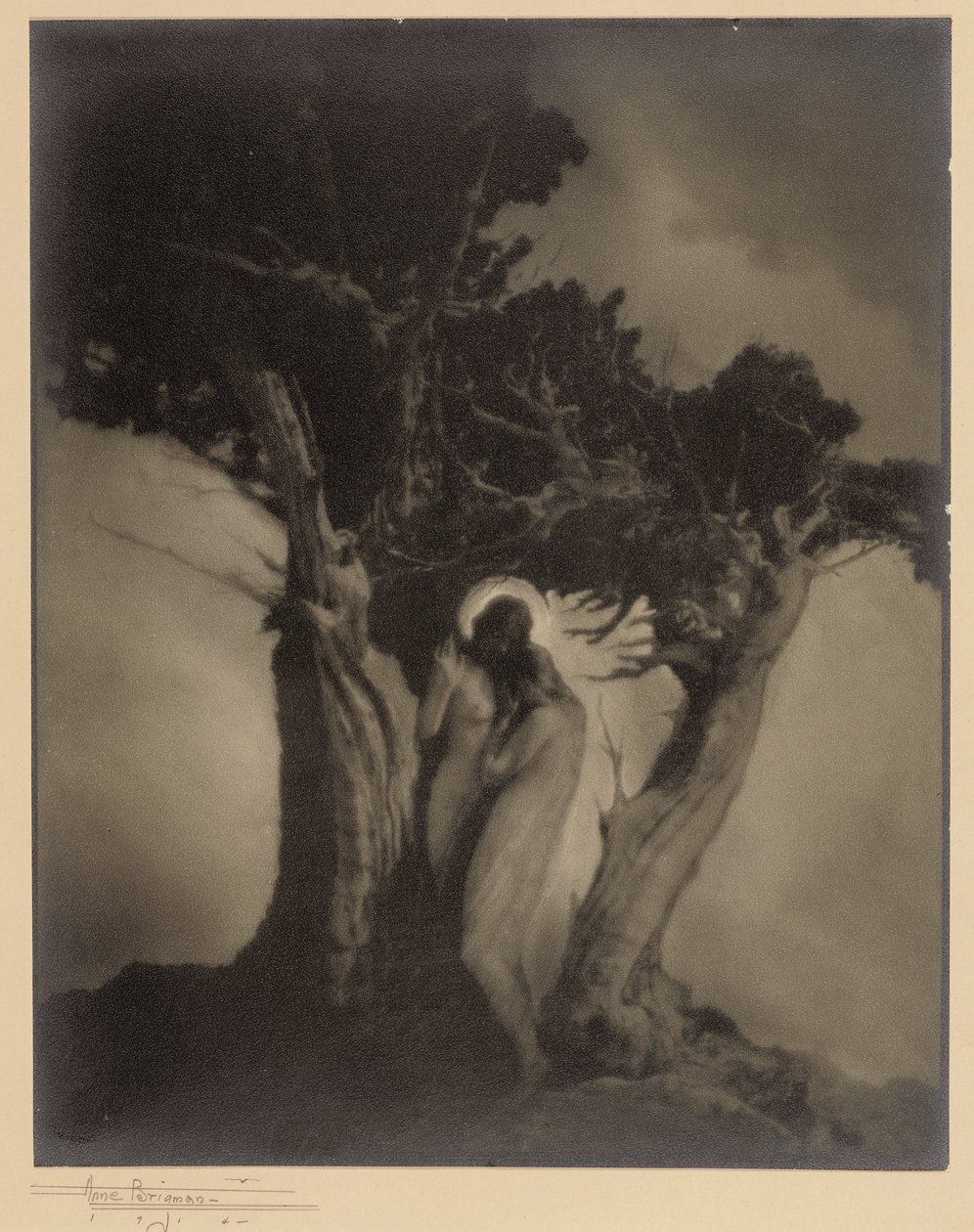 Serce burzy autorstwa Anne W. Brigman