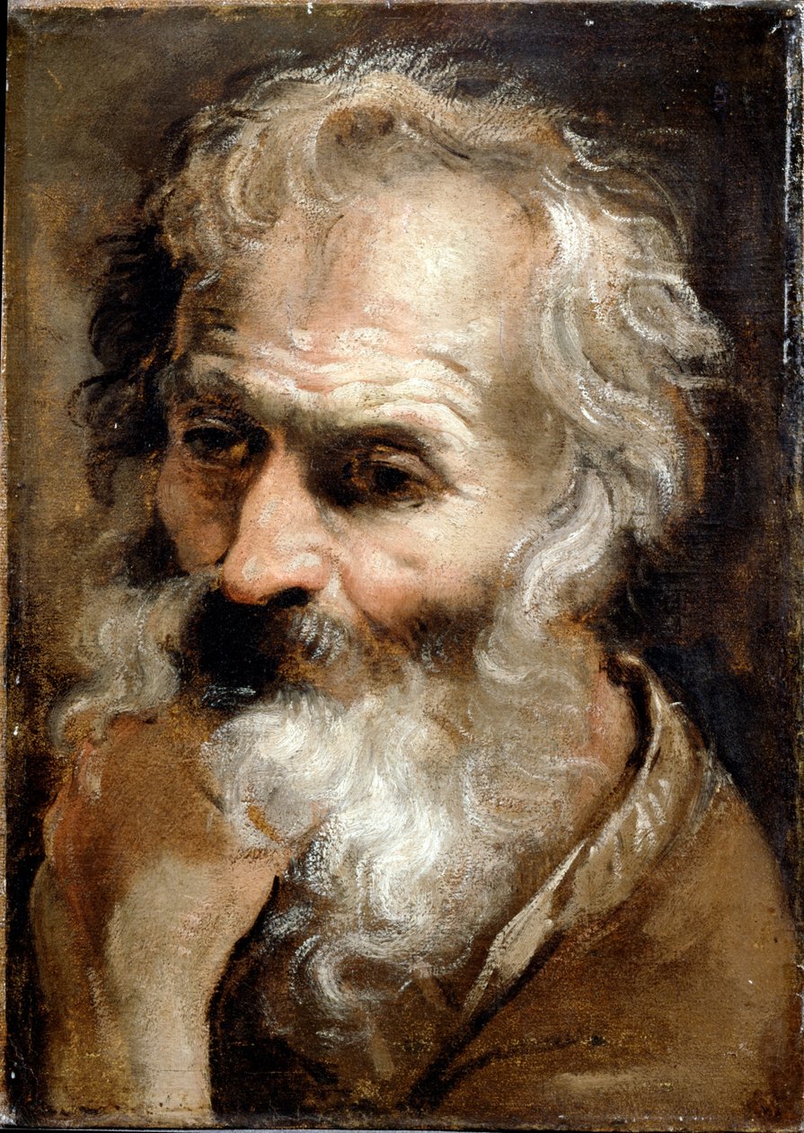 Głowa starego człowieka autorstwa Annibale Carracci