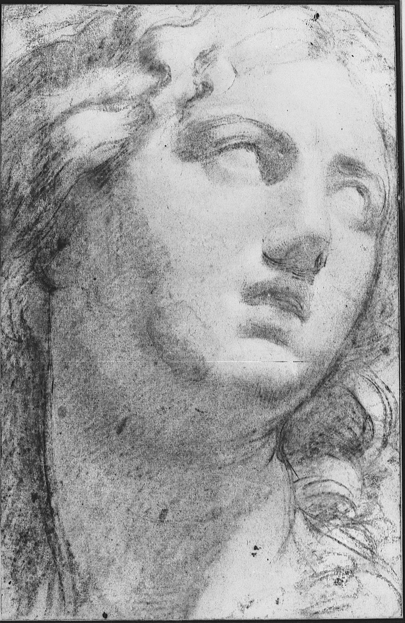 Niobe autorstwa Annibale Carracci