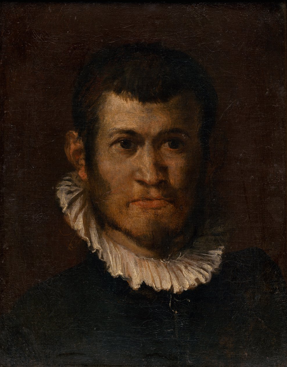 Studium głowy mężczyzny autorstwa Annibale Carracci