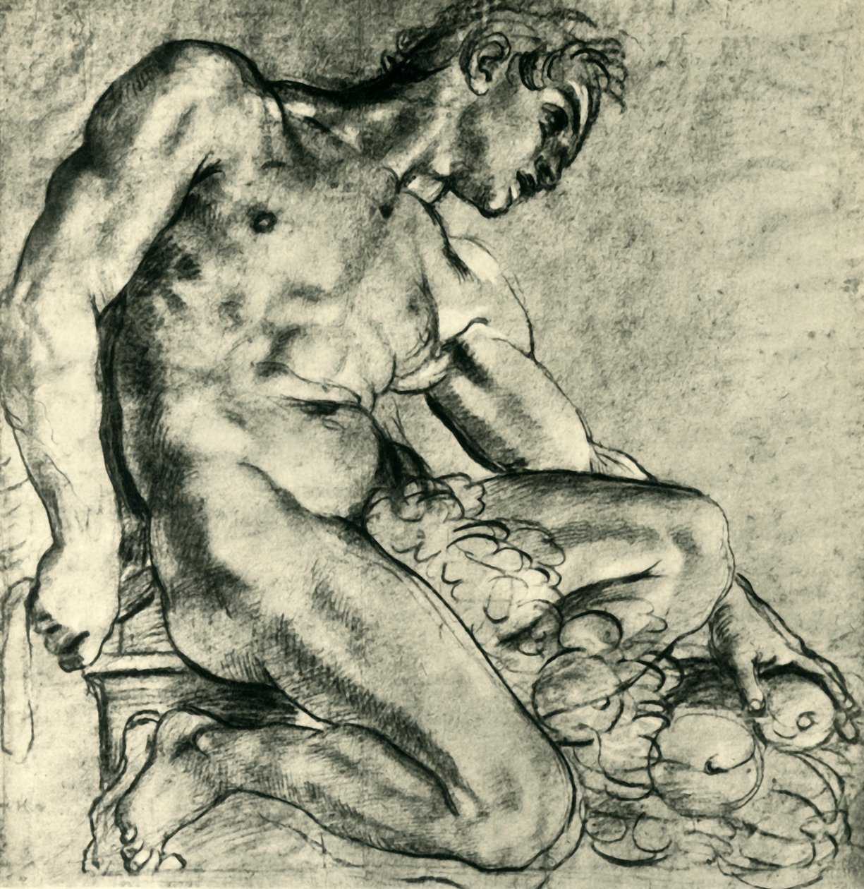 Siedzące Ignudo z girlandą, 1598-1599, 1943. autorstwa Annibale Carracci