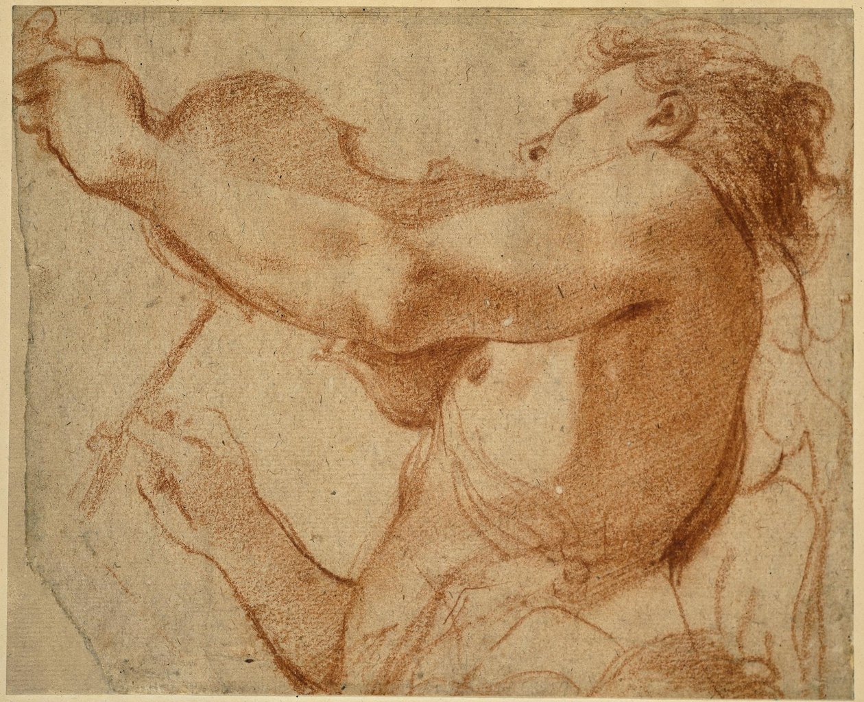 Anioł grający na skrzypcach autorstwa Annibale Carracci