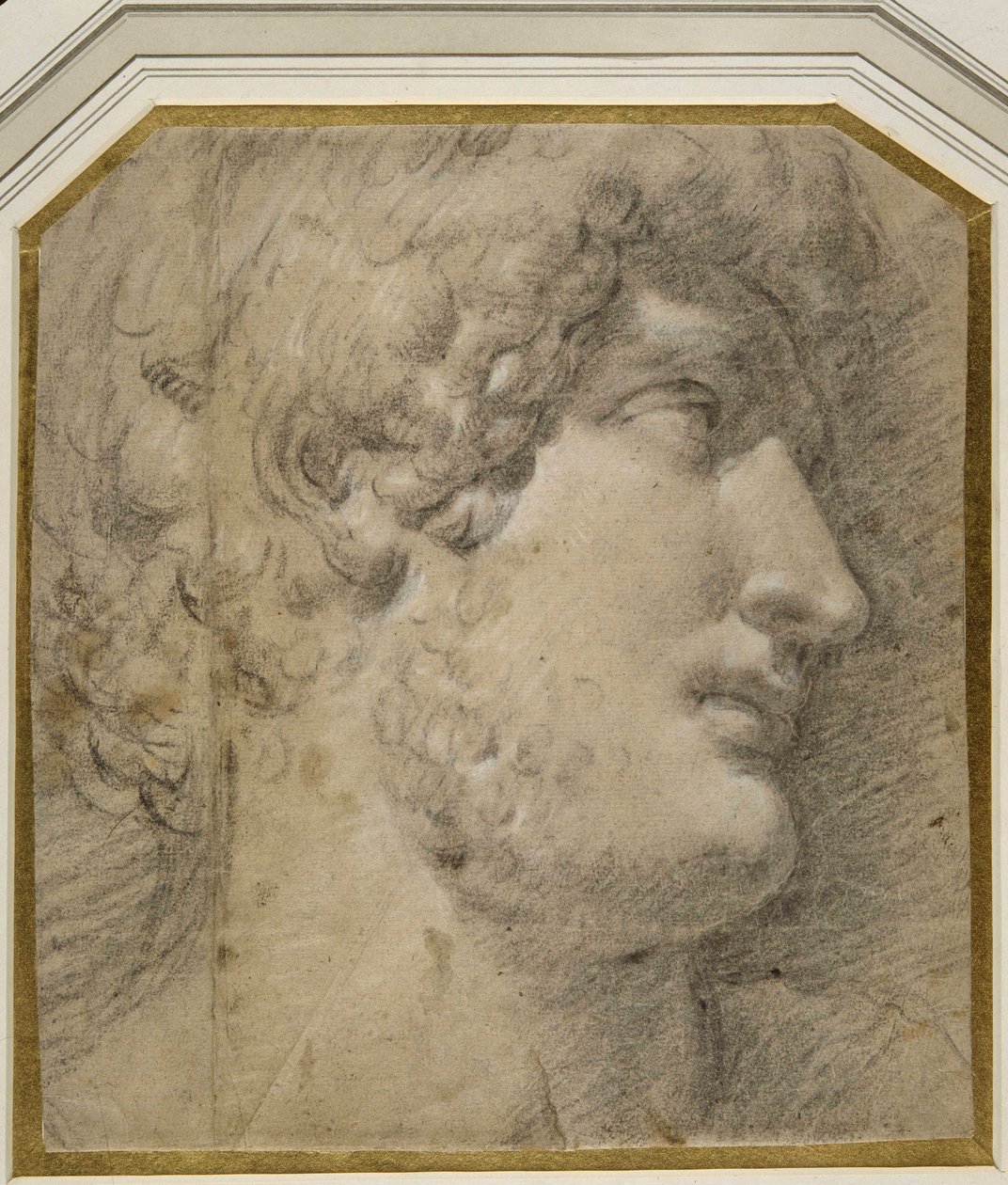Głowa cesarza Gallienus (lub ?Hadrian), po antyku (czarna kreda na kremowym papierze) autorstwa Annibale Carracci