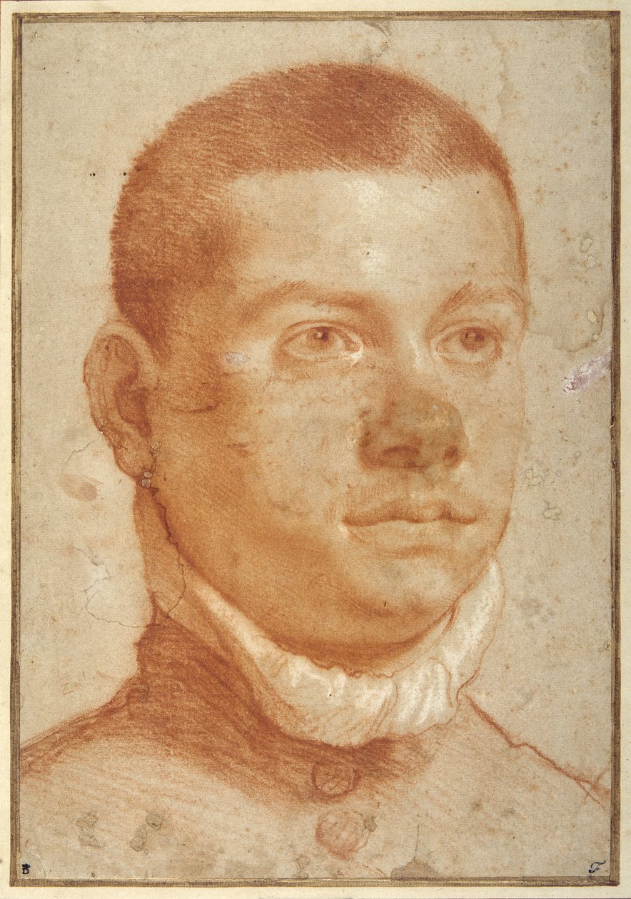 Portret-głowa młodego mężczyzny (czerwona kreda) autorstwa Annibale Carracci