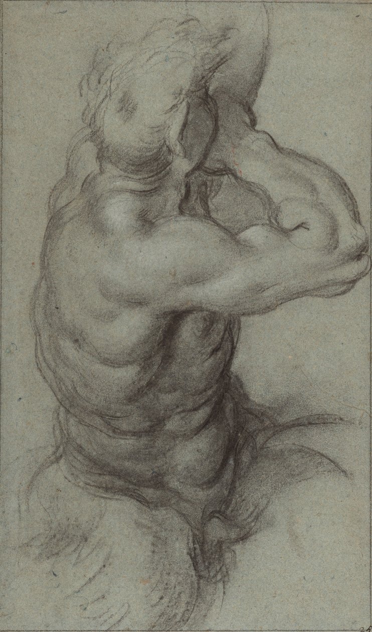 Studium Trytona dmącego w muszlę (recto); Częściowe studium ramienia (verso) autorstwa Annibale Carracci