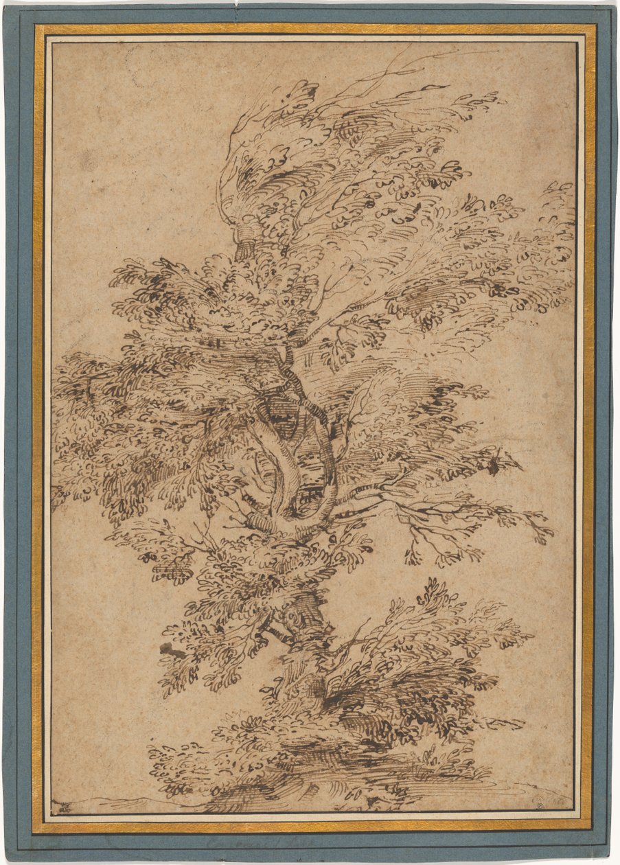 Studie eines Baumes autorstwa Annibale Carracci