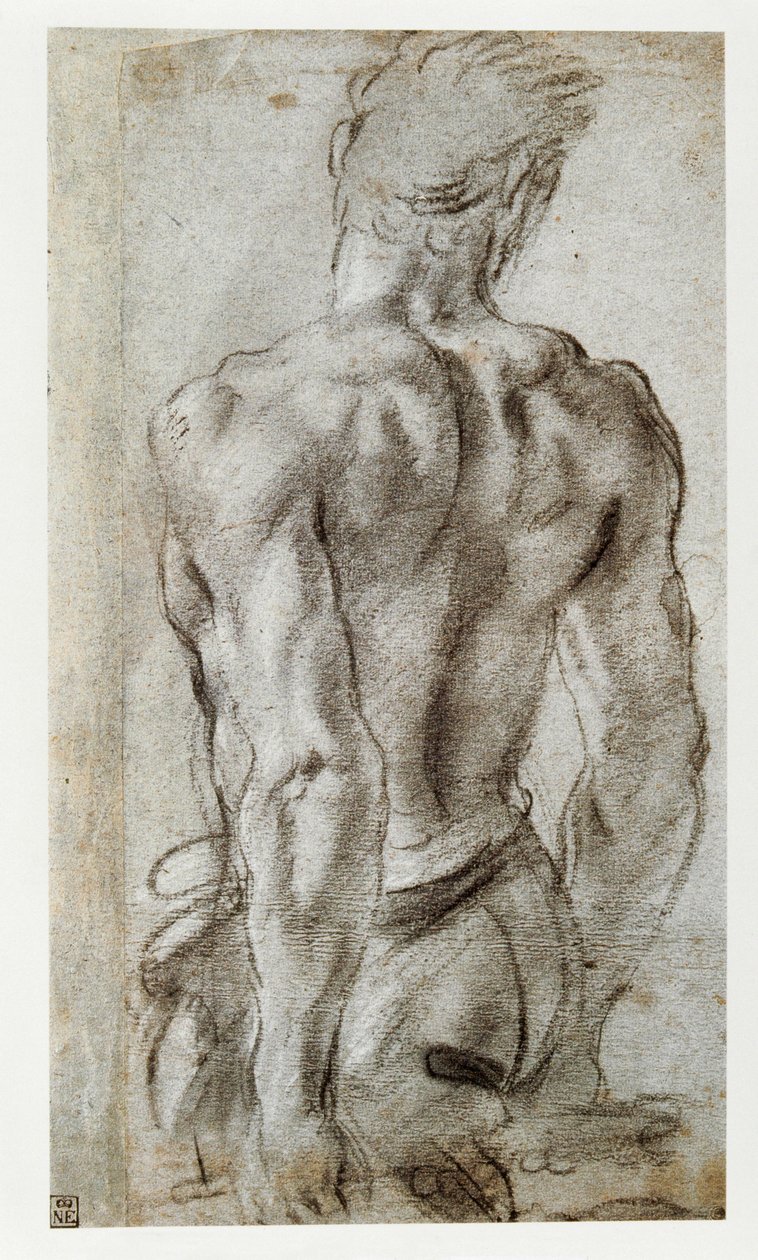 Studium męskiej postaci ... autorstwa Annibale Carracci