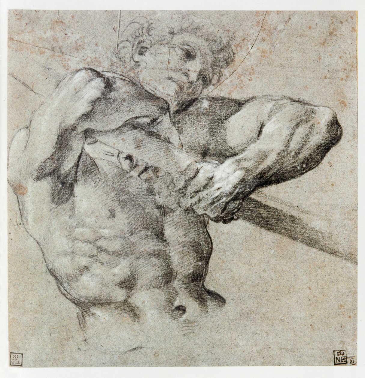 Studium męskiej postaci ... autorstwa Annibale Carracci