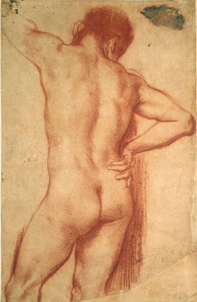 Studium nagiego mężczyzny, XVII wiek autorstwa Annibale Carracci