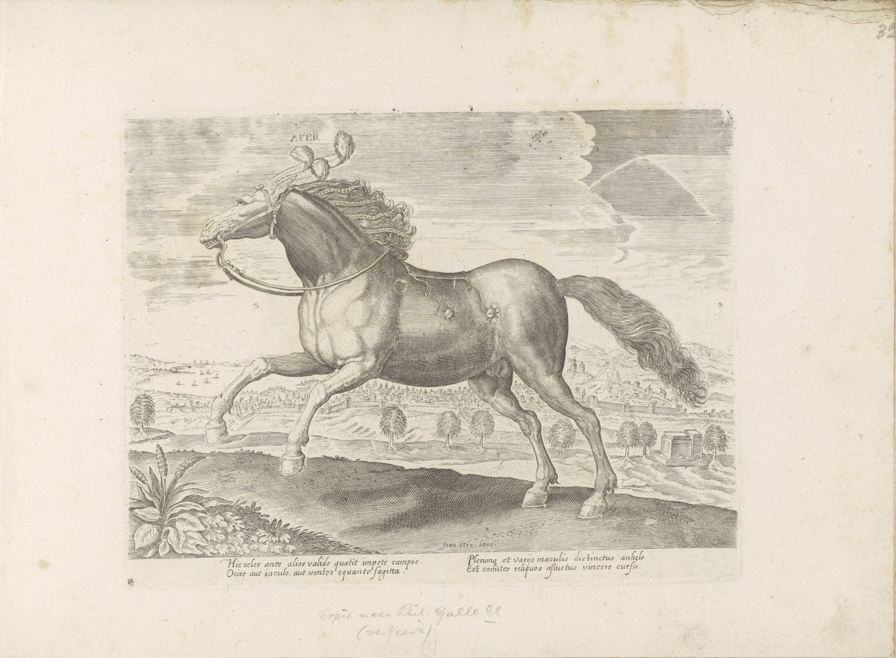 Arabisch parard Przynieś (tytuł na obiekcie) Paardenrassen uit de Koninklijke stallen van Don Juan van Oostenrijk (tytuł serii) Koń, w którym wszystkie rodzaje szlachty: wybrane zachowania koni wyróżnionych z różnych stron świata (...) (tytuł serii na obie autorstwa Anonymous