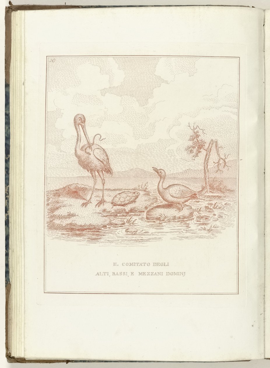 Comité van Hoge, Lage en Middelbare Heerlijkheden, 1795 Komitet Alti, Bassi i Mezzani Domini (tytuł dotyczący przedmiotu) Hollandia Regenerata (włoska kopie) (tytuł serii) Odrodzenie Holandii: spechio do wszystkich odrodzonych ludów (seria t autorstwa Anonymous