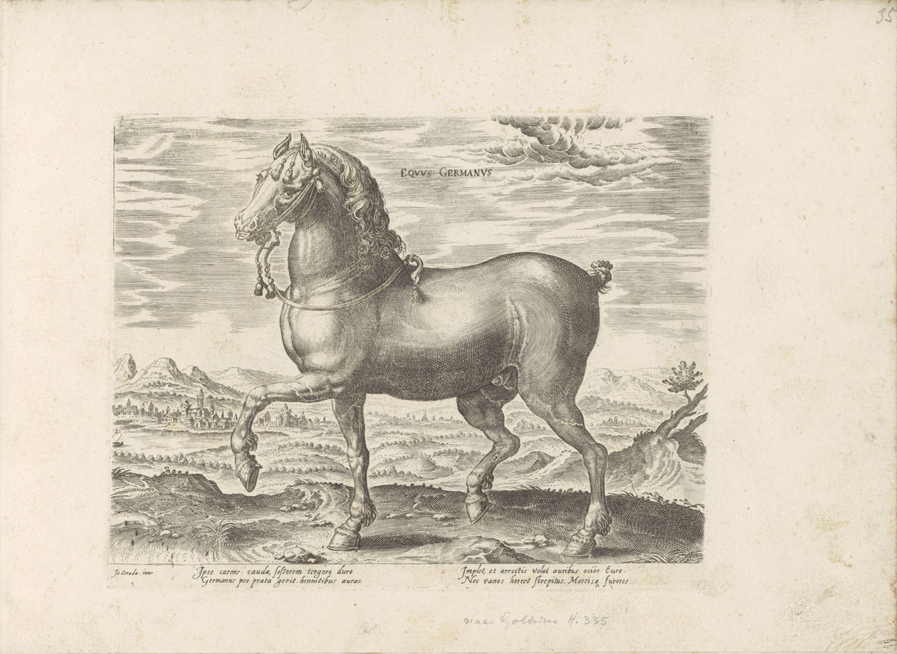 Duits Paard Koń niemiecki (tytuł na obiekcie) Paardenrassen uit de Koninklijke stallen van Don Juan van Oostenrijk (tytuł serii) Koń, w którym wszystkie rodzaje szlachty: wybrane zachowania koni wyróżnionych z różnych stron świata (...) (tytuł serii o ob autorstwa Anonymous