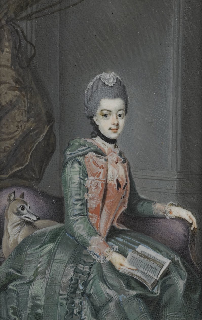 Frederika Sophia Wilhelmina (1751-1820), księżna Prus. Żona księcia Willema V autorstwa Anonymous