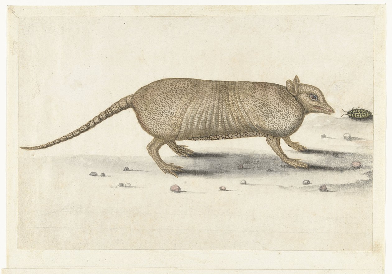 Pancernik Album Lombard (tytuł serii) autorstwa Anonymous