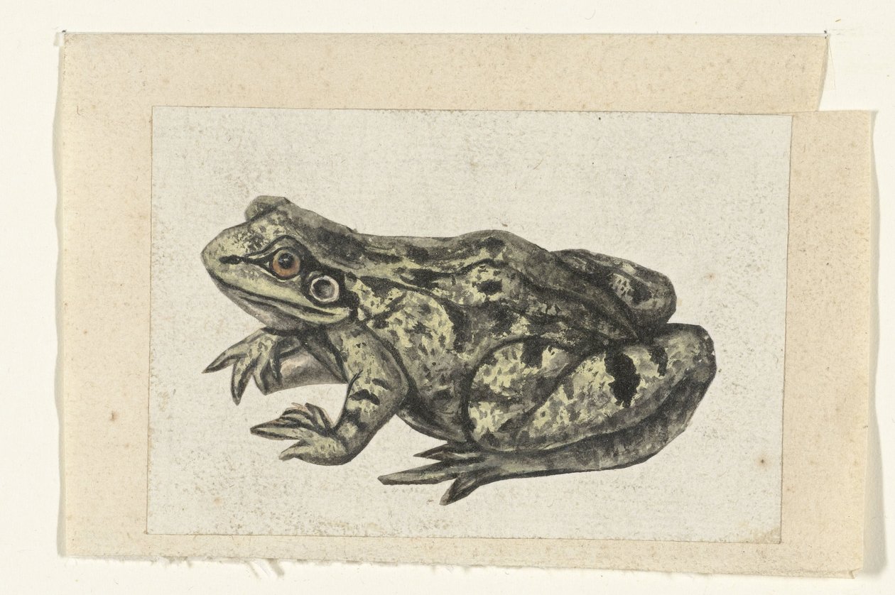 Spojrzenia Album Lombard (tytuł serii) autorstwa Anonymous
