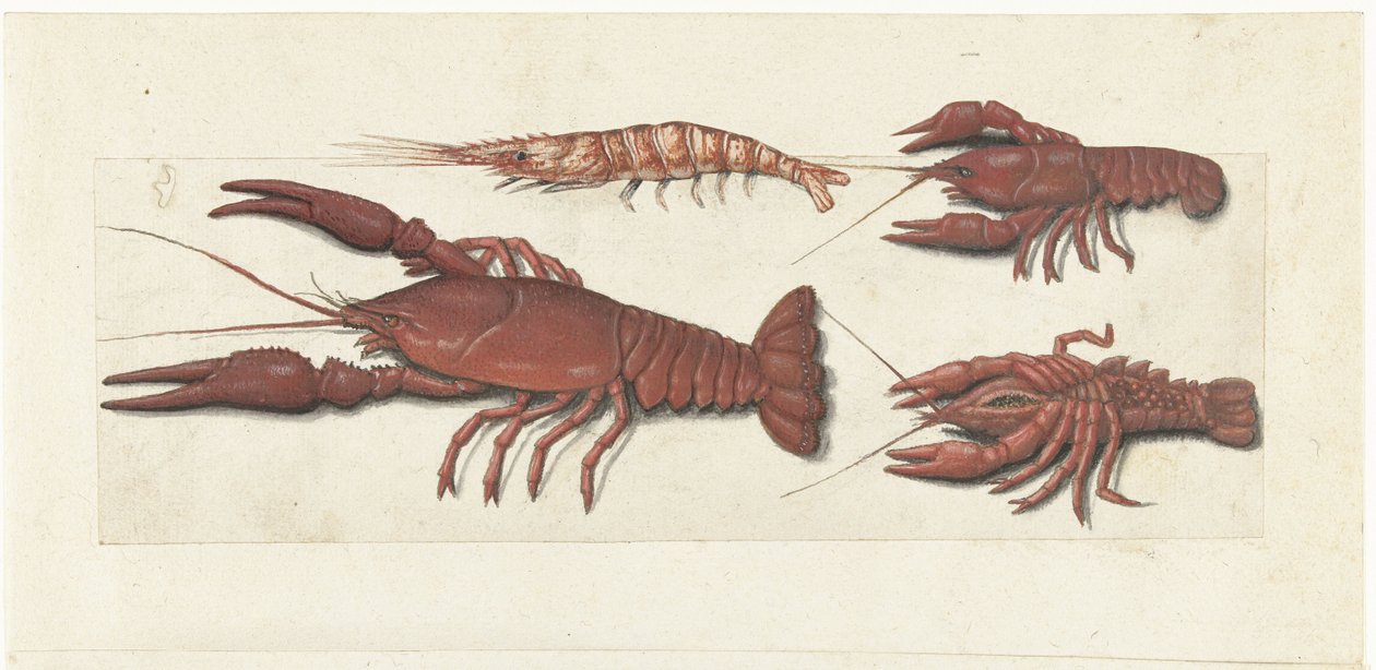 Langoustine, dwa raki i krewetki Album Lombard (tytuł serii) autorstwa Anonymous