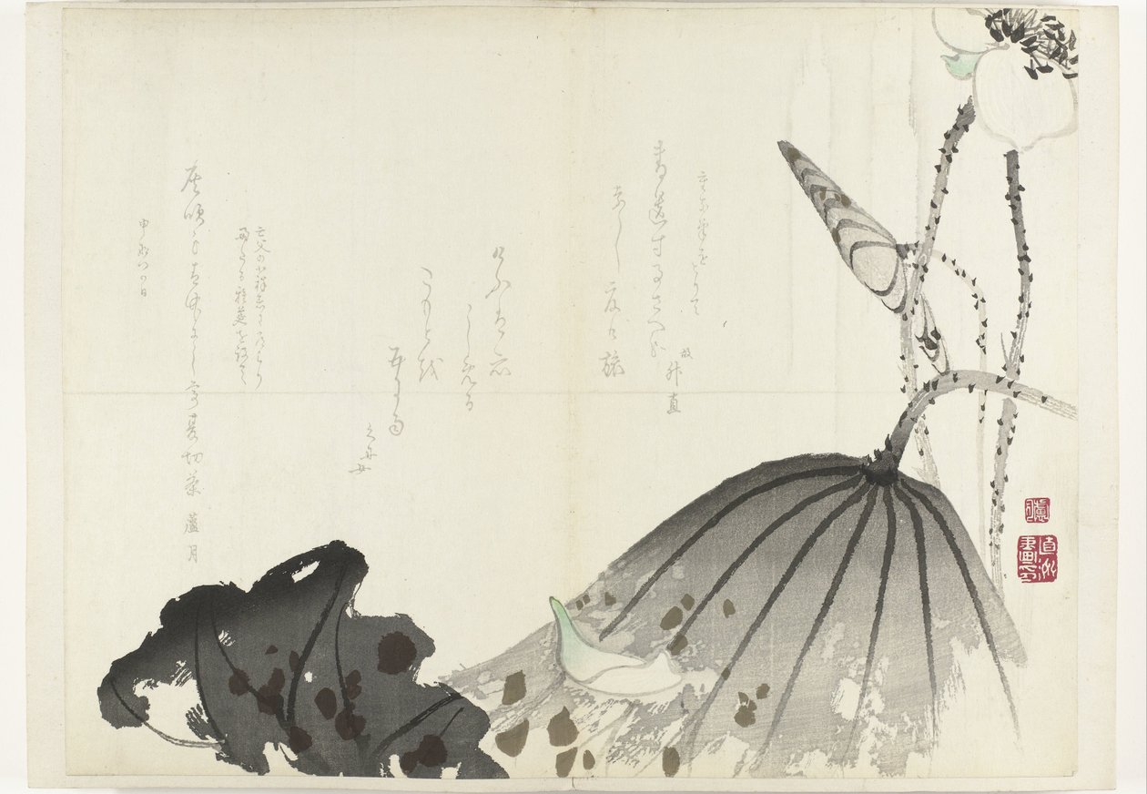 liść lotosu Album Shijo-surimono z okresu 1840-1900 (tytuł serii) autorstwa Anonymous