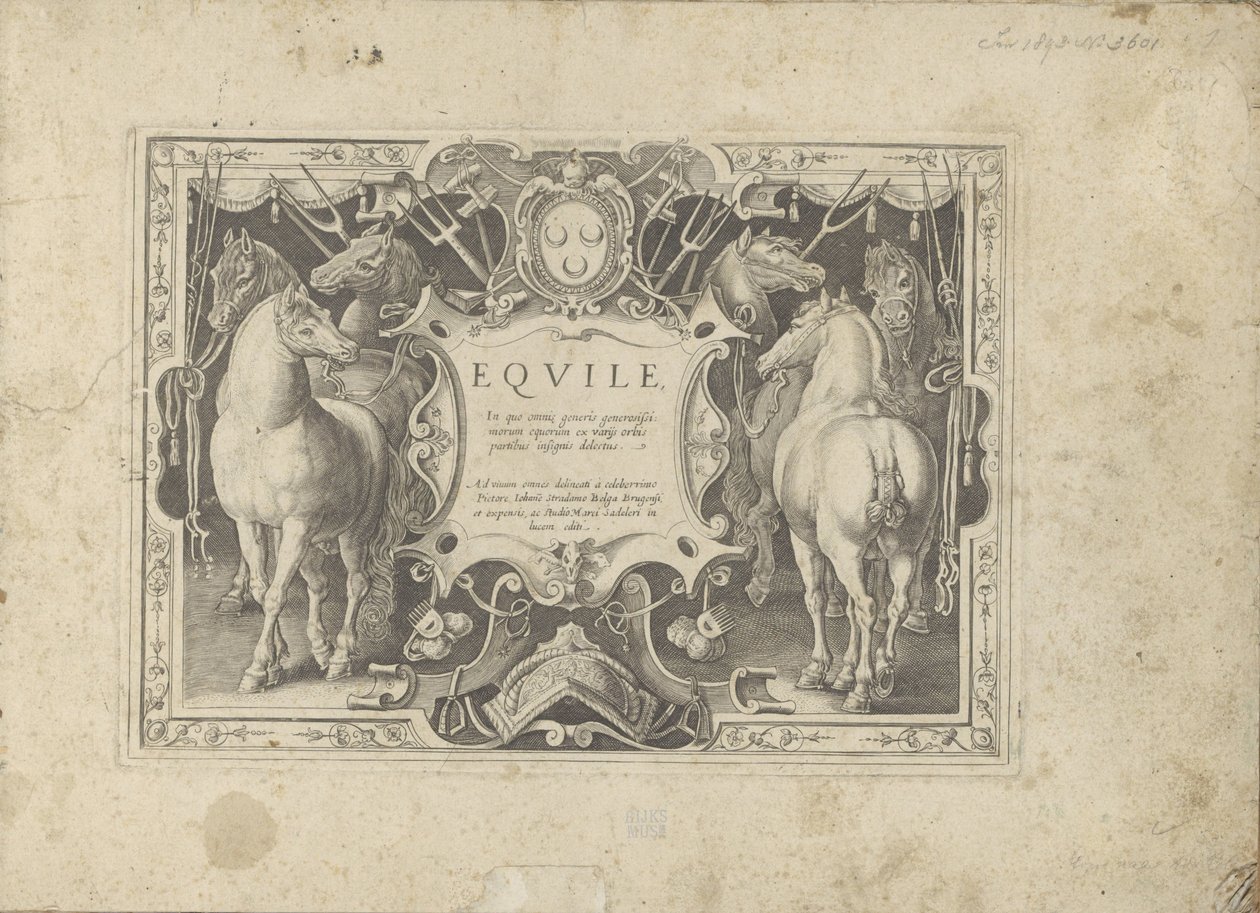 Ornamenteel kartusz z tytułem geflankeerd door paarden Koń, w którym wszystkie rodzaje szlachty: wybrane zachowania koni wyróżnionych z różnych stron świata (...) (tytuł serii na obiekcie) autorstwa Anonymous