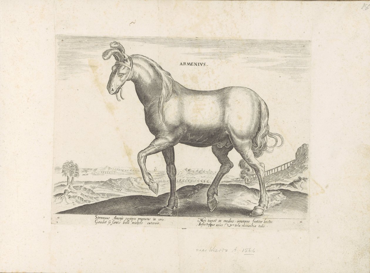 Paard uit Armenië Armenius (tytuł na obiekcie) Paardenrassen uit de Koninklijke stallen van Don Juan van Oostenrijk (tytuł serii) Koń, w którym wszystkie rodzaje szlachty: wybrane zachowania koni wyróżnionych z różnych stron świata (...) (tytuł serii o ob autorstwa Anonymous