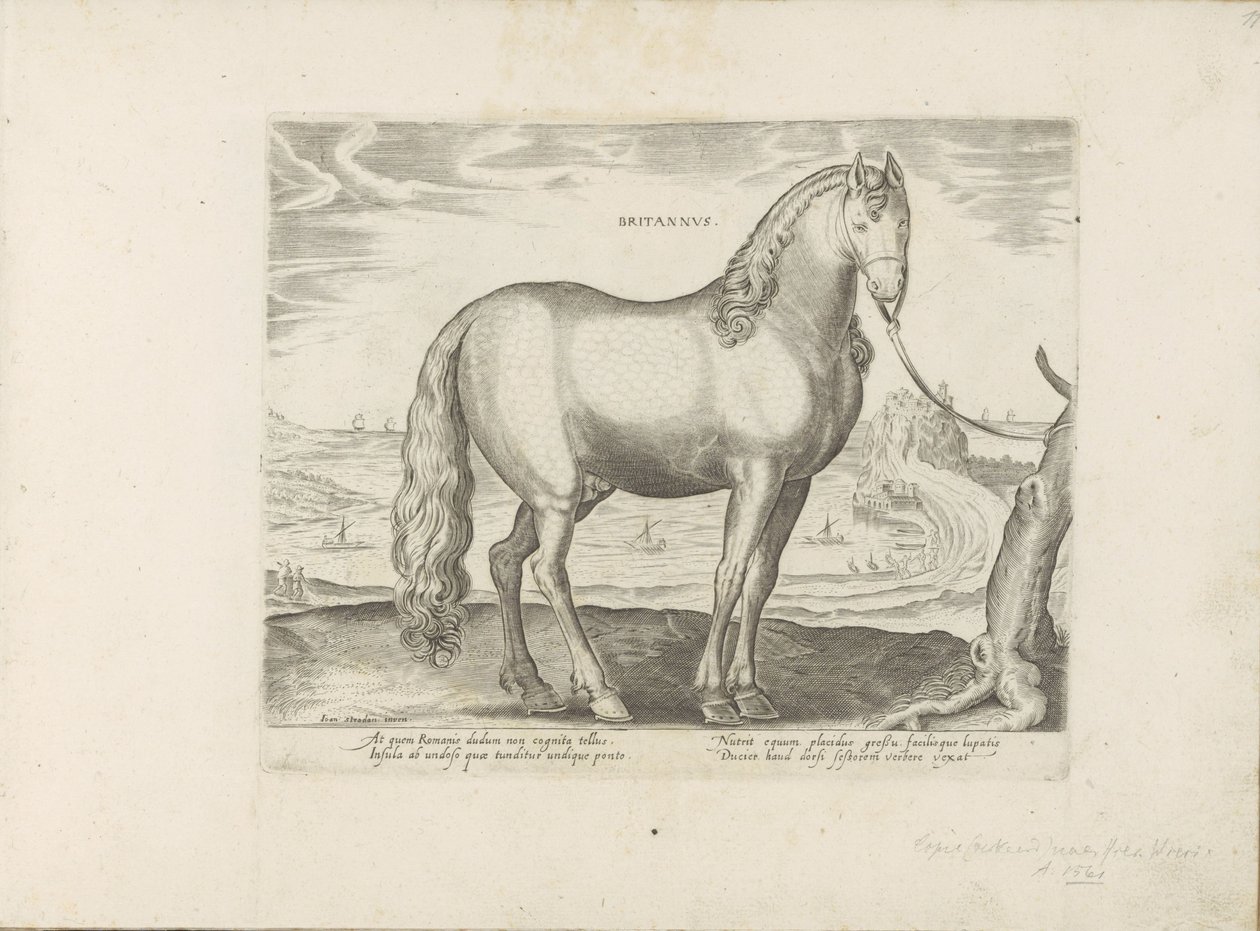 Paard uit Bretagne (Wielka Brytania) Brytyjski (tytuł na obiekcie) Paardenrassen uit de Koninklijke stallen van Don Juan van Oostenrijk (tytuł serii) Koń, w którym wszyscy szlachcice: wybrani z różnych stron świata wyróżniający się zachowaniem koni (...) ( autorstwa Anonymous