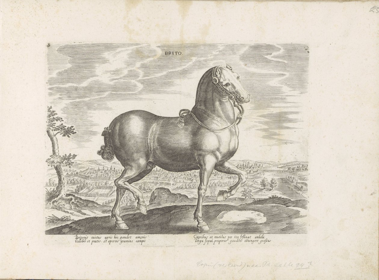 Paard uit England Brito (tytuł na obiekcie) Paardenrassen uit de Koninklijke stallen van Don Juan van Oostenrijk (tytuł serii) Koń, w którym wszystkie rodzaje szlachty: wybrane zachowania koni wyróżniających się z różnych stron świata (...) (tytuł serii na autorstwa Anonymous