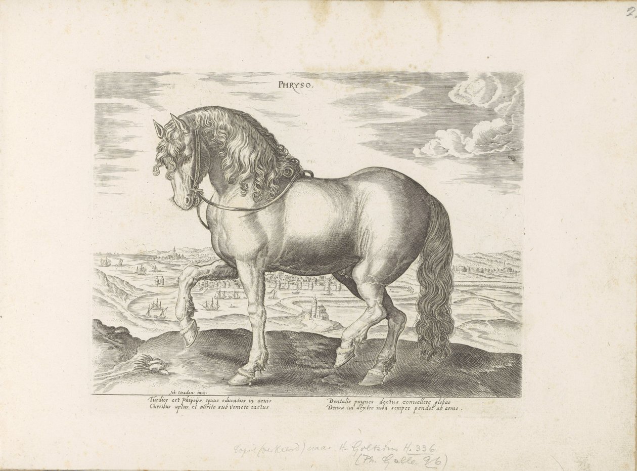 Paard uit Friesland Phryso (tytuł na obiekcie) Paardenrassen uit de Koninklijke stallen van Don Juan van Oostenrijk (tytuł serii) Koń, w którym wszystkie rodzaje szlachty: wybrane zachowania koni wyróżnionych z różnych stron świata (...) (tytuł serii o ob autorstwa Anonymous